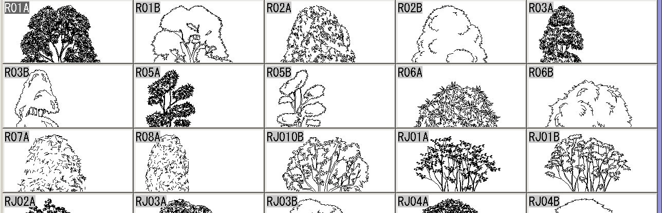 樹木立面図のサンプルです